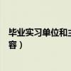 毕业实习单位和主要内容填写模板（毕业实习单位和主要内容）