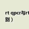 rt qpcr与rt pcr的区别（qpcr和rt pcr的区别）