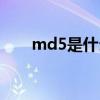 md5是什么文件格式（md5是什么）