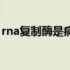 rna复制酶是病毒自身携带的吗（rna复制酶）