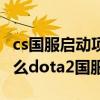 cs国服启动项代码（dota2国服启动代码是什么dota2国服怎么进）