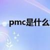 pmc是什么意思中文（pmc是什么意思）