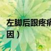 左脚后跟疼痛的原因男性（左脚后跟疼痛的原因）