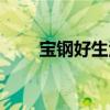 宝钢好生活平台（宝钢好生活官网）