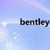 bentley手表价格（bentley手表）