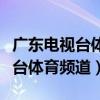 广东电视台体育频道直播在线观看（广东电视台体育频道）