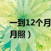 一到12个月宝宝创意照（超有创意的宝宝满月照）