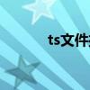 ts文件播放器电脑（ts播放器）