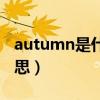 autumn是什么意思英语（autumn是什么意思）