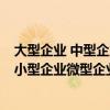 大型企业 中型企业 小型企业 微型企业（大型企业中型企业小型企业微型企业）