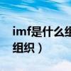 imf是什么组织能解决什么问题（imf是什么组织）