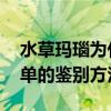 水草玛瑙为什么那么便宜 给你水草玛瑙最简单的鉴别方法