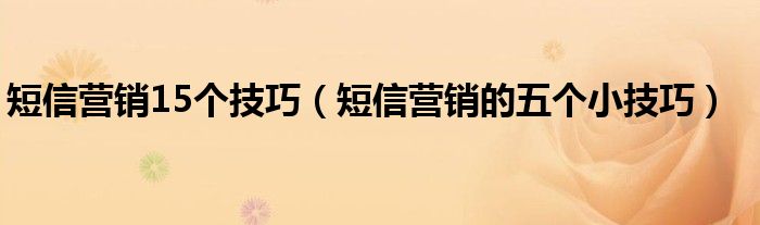 短信营销15个技巧（短信营销的五个小技巧）