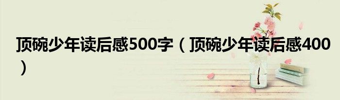 顶碗少年读后感500字（顶碗少年读后感400）