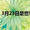 3月23日是世界什么日（3 22是世界什么日）