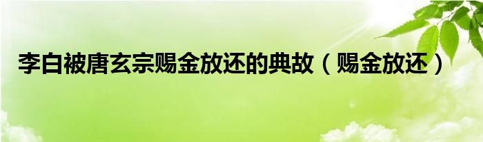 李白被唐玄宗赐金放还的典故（赐金放还）