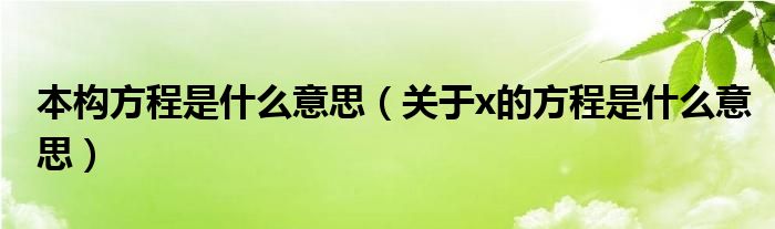 本构方程是什么意思（关于x的方程是什么意思）