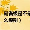 副省级是不是等于副部级（省长和副省长是什么级别）