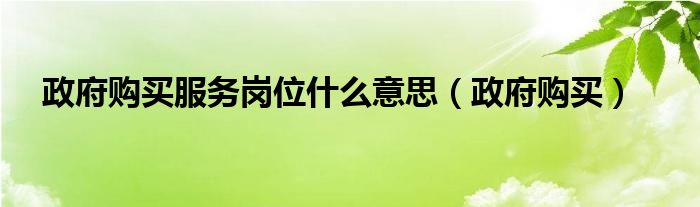 政府购买服务岗位什么意思（政府购买）