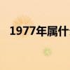 1977年属什么生肖的蛇（1977年属什么）