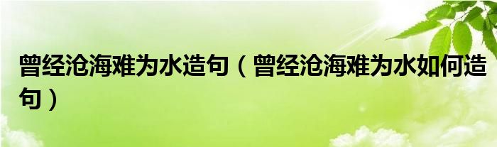 曾经沧海难为水造句（曾经沧海难为水如何造句）