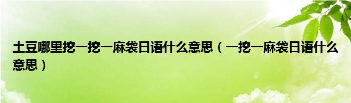 土豆哪里挖一挖一麻袋日语什么意思（一挖一麻袋日语什么意思）