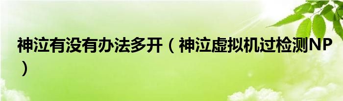 神泣有没有办法多开（神泣虚拟机过检测NP）