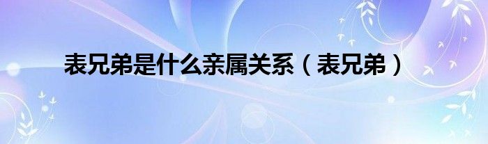 表兄弟是什么亲属关系（表兄弟）