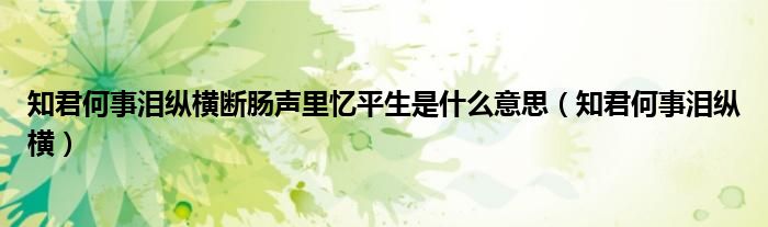 知君何事泪纵横断肠声里忆平生是什么意思（知君何事泪纵横）