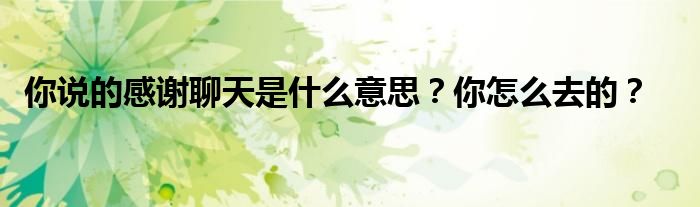 你说的感谢聊天是什么意思？你怎么去的？