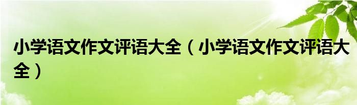 小学语文作文评语大全（小学语文作文评语大全）