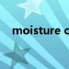 moisture cream什么意思（moisture）