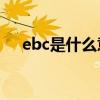 ebc是什么意思医学（EBC是什么意思）