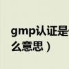 gmp认证是什么意思分几类（gmp认证是什么意思）