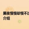 黑夜慢慢却慢不过孤独是什么歌 黑夜慢慢却慢不过孤独歌曲介绍