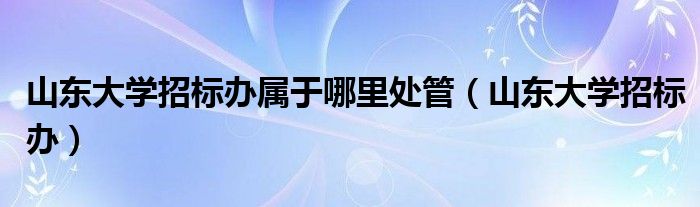 山东大学招标办属于哪里处管（山东大学招标办）