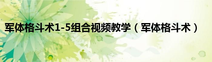 军体格斗术1-5组合视频教学（军体格斗术）