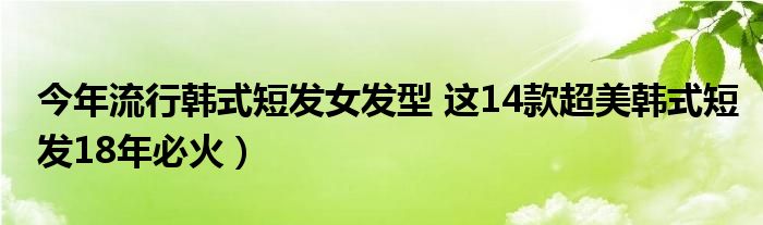 今年流行韩式短发女发型 这14款超美韩式短发18年必火）