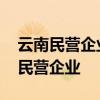 云南民营企业家名单 正在公示云南百户优强民营企业