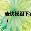 麦块模组下完用不了（麦块盒子怎么下MOD）