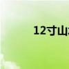 12寸山水音响价格多少（12寸）