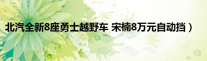 北汽全新8座勇士越野车 宋楠8万元自动挡）