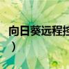 向日葵远程控制官网下载（妓院里的回忆下载）