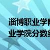 淄博职业学院分数线2021成人高考（淄博职业学院分数线）