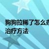 狗狗拉稀了怎么办最有效的办法 狗狗拉稀了的六大原因以及治疗方法