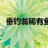 垂钓翁稀有鱼坐标（垂钓翁声望快速崇拜）