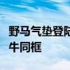 野马气垫登陆艇和野牛哪个厉害（太帅野马野牛同框