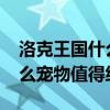 洛克王国什么宠物值得练2020（洛克王国什么宠物值得练）