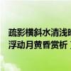 疏影横斜水清浅暗香浮动月黄昏全诗（疏影横斜水清浅暗香浮动月黄昏赏析）