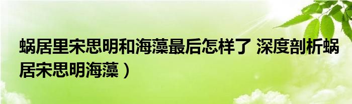 蜗居里宋思明和海藻最后怎样了 深度剖析蜗居宋思明海藻）